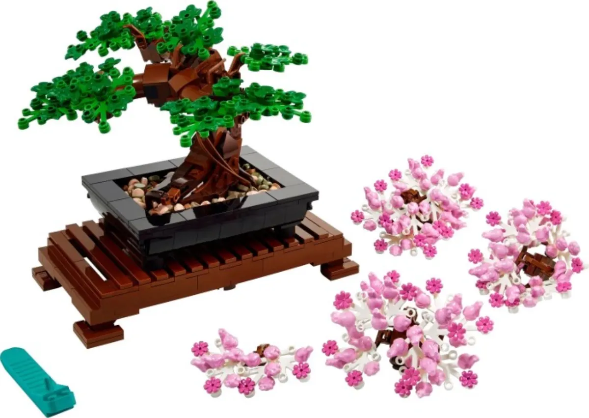 Bonsai Tree set photo