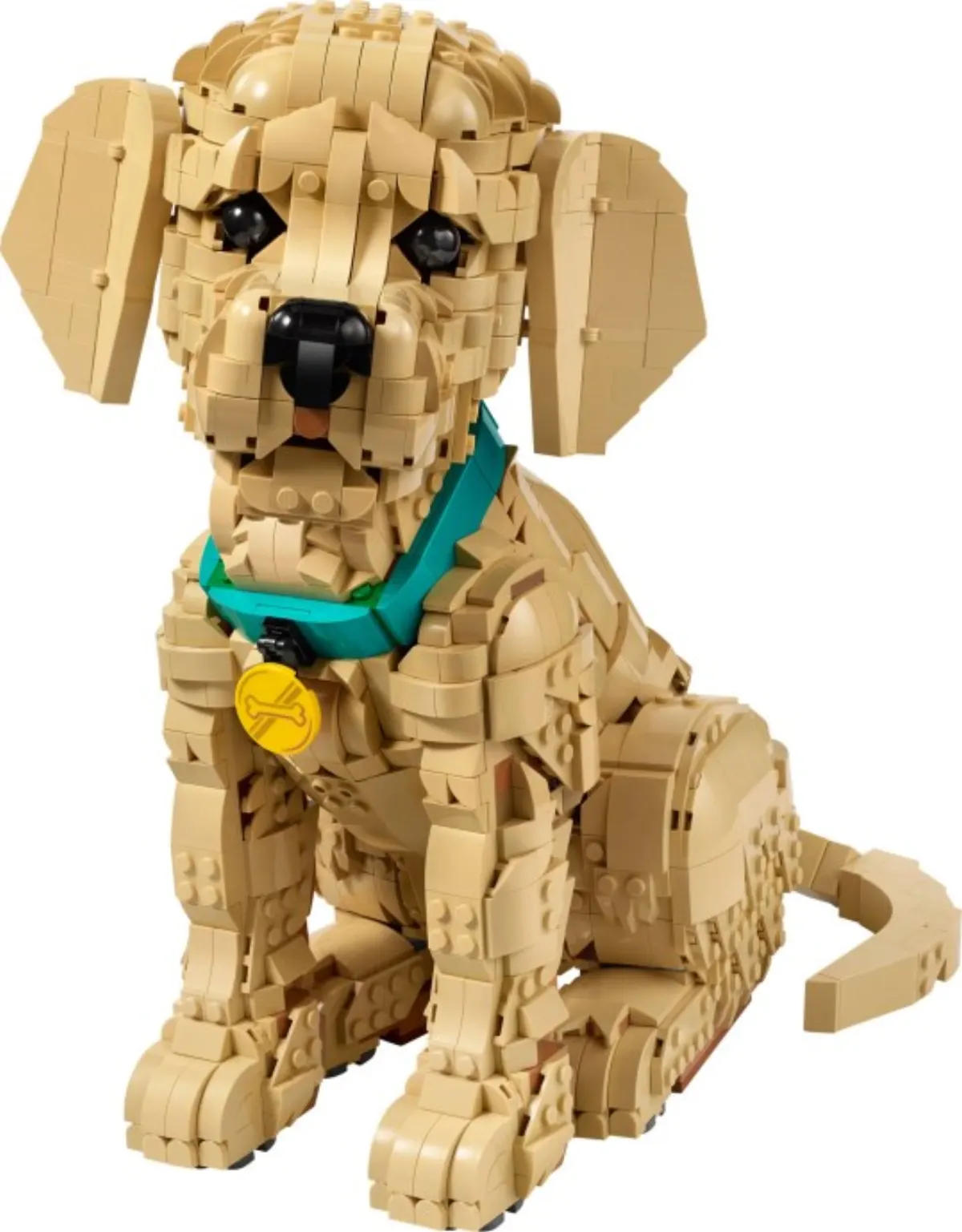 Golden Retriever Puppy set photo