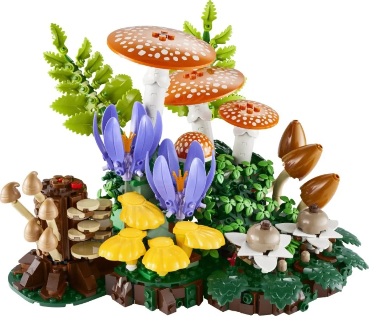 Woodland Mushrooms set photo