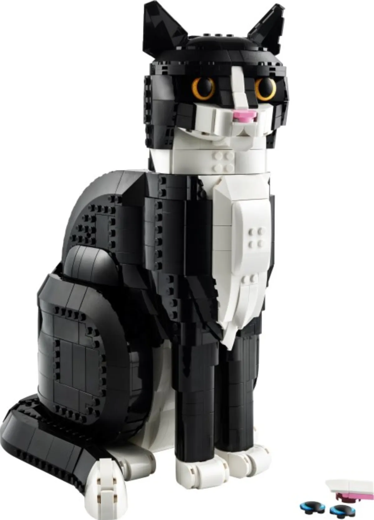 Tuxedo Cat set photo