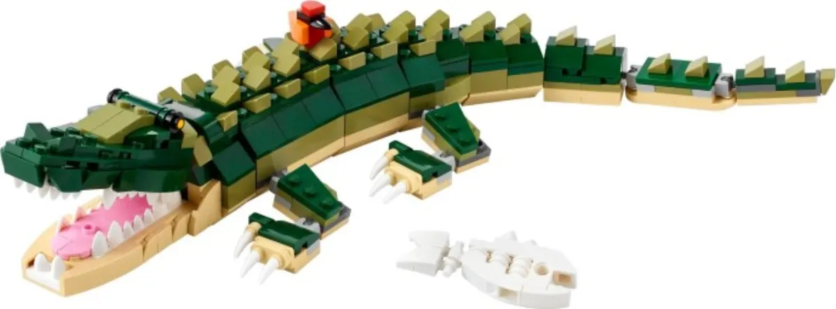 Crocodile set photo