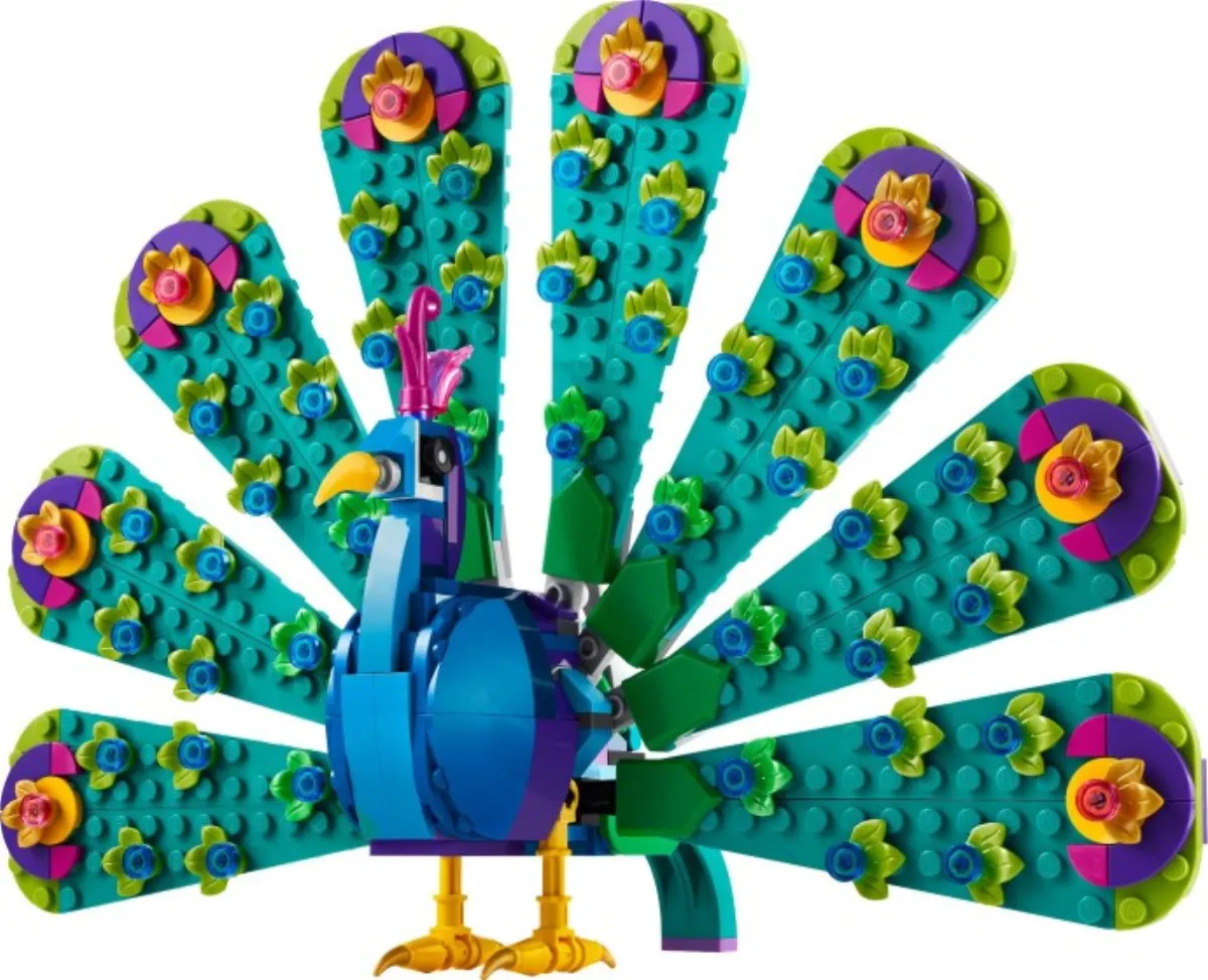 Exotic Peacock set photo