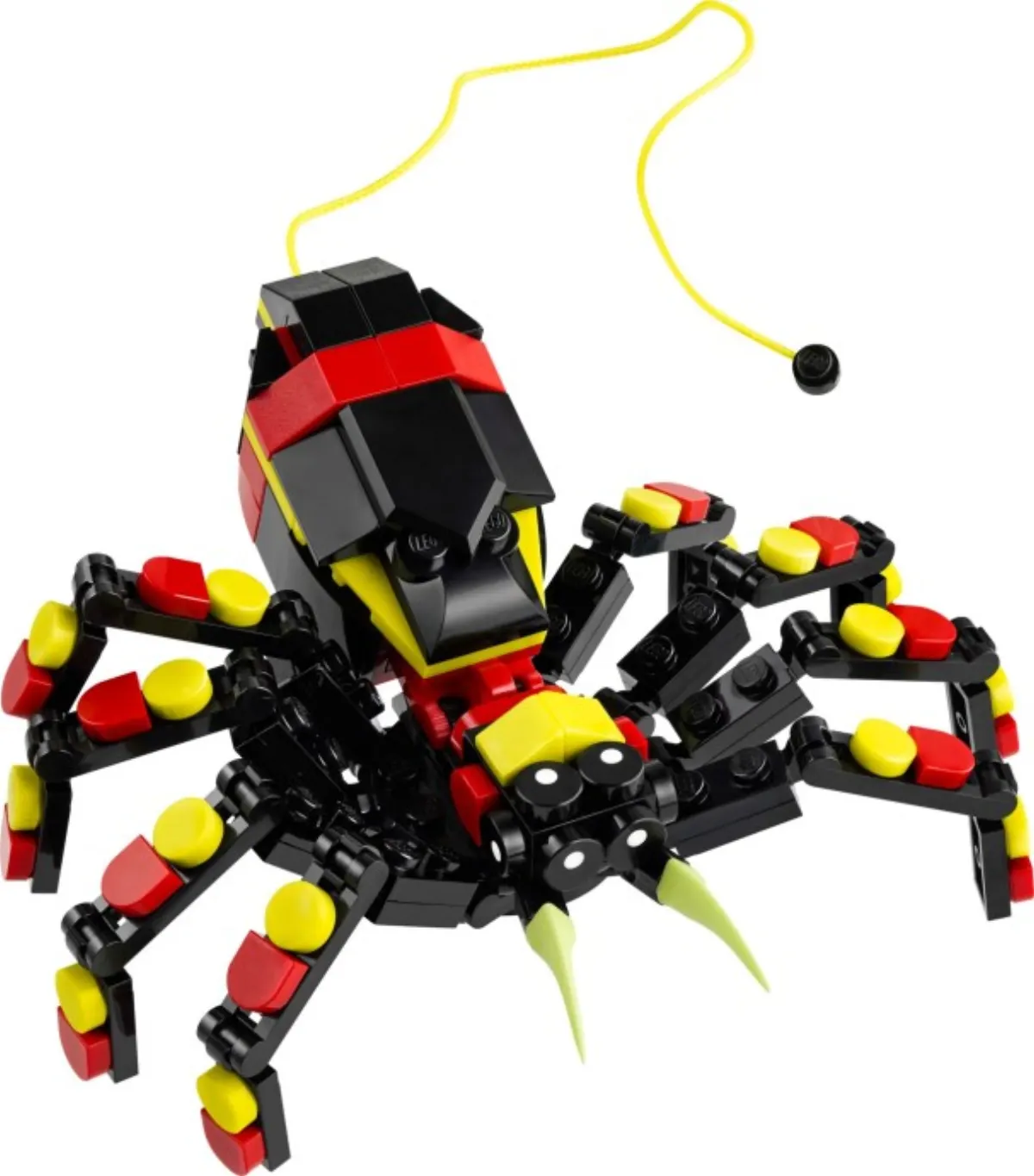 Wild Animals: Surprising Spider set photo