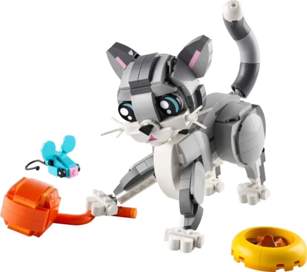 Playful Cat set photo