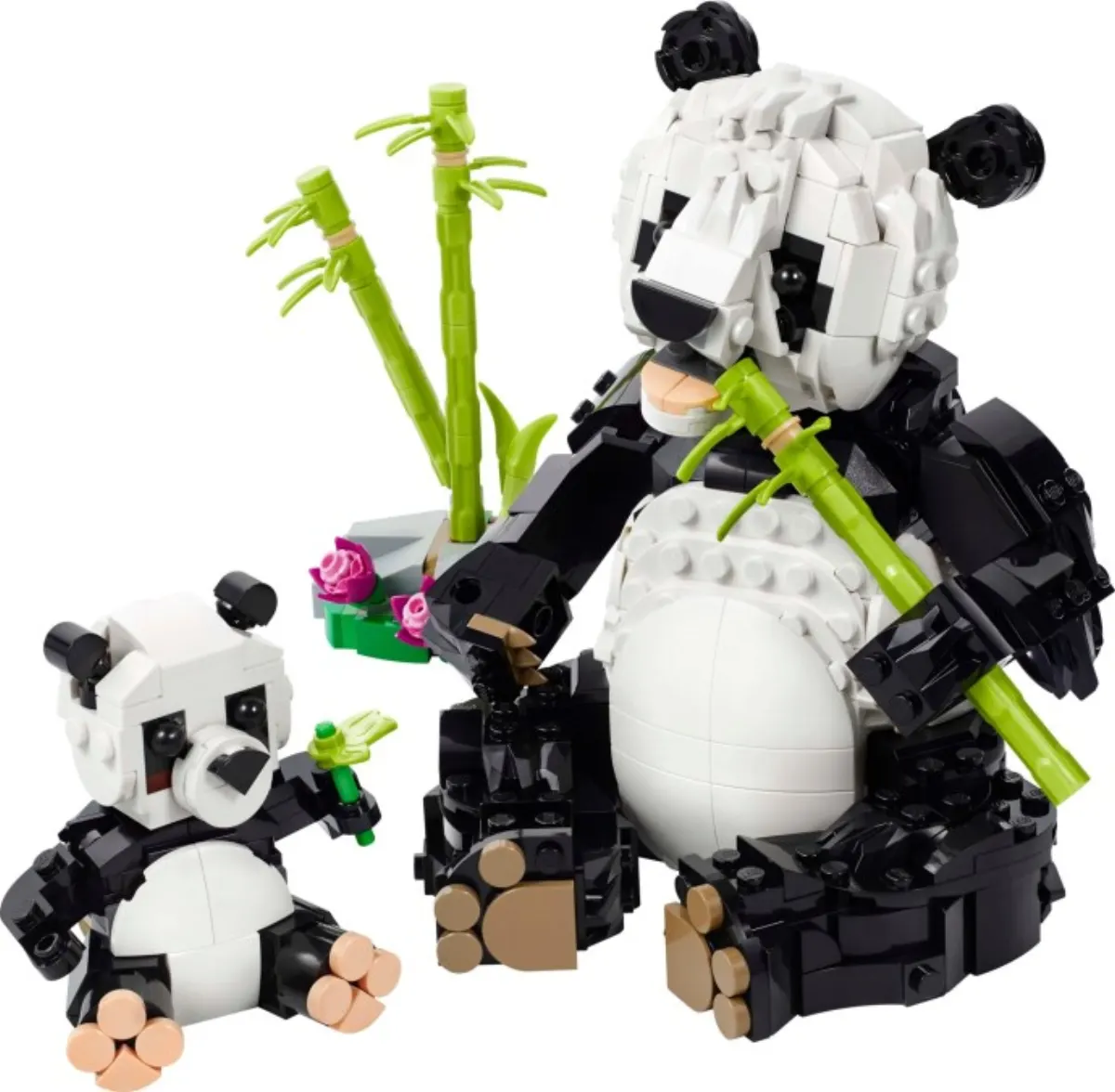 Wild Animals: Panda Family set photo
