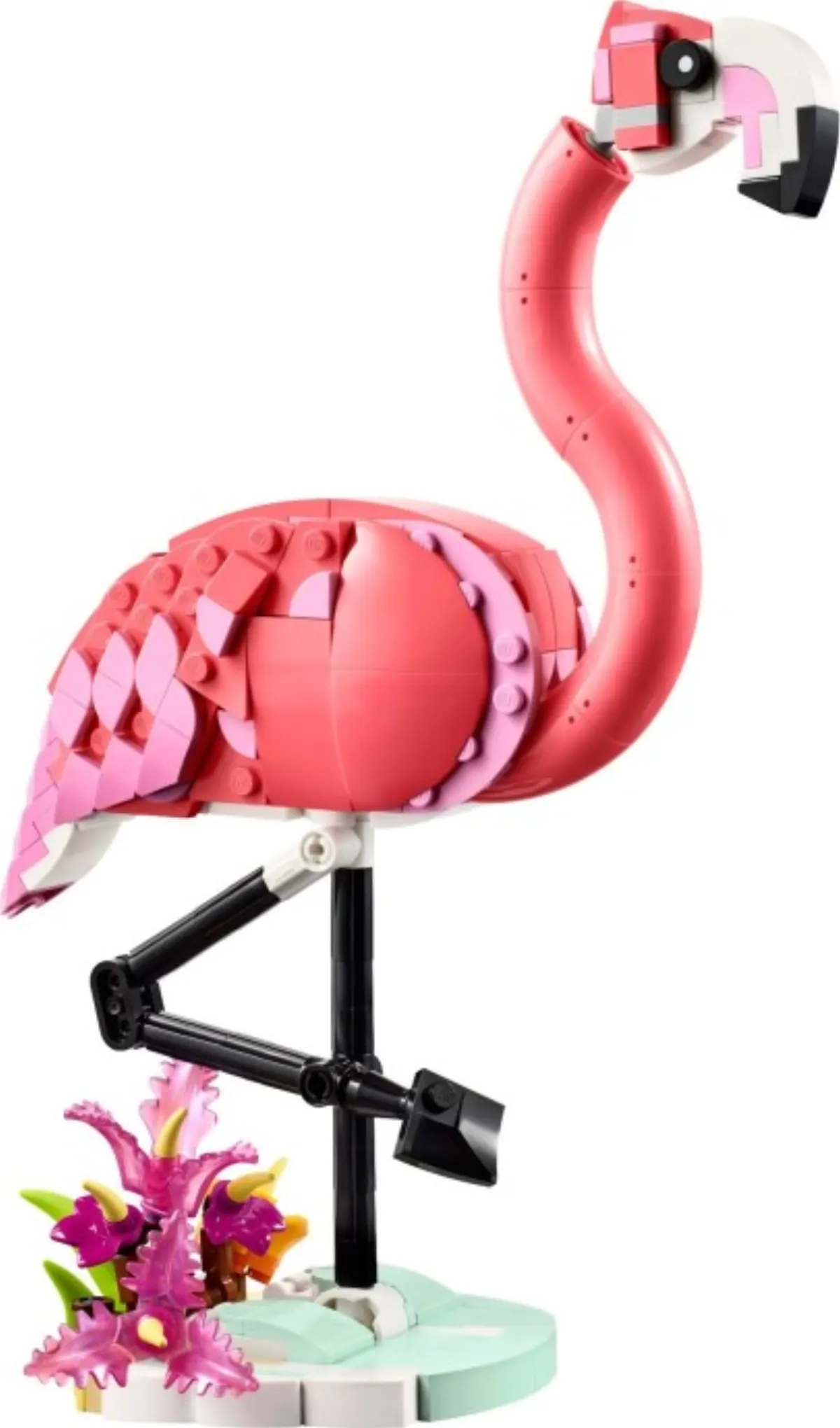 Wild Animals: Pink Flamingo set photo