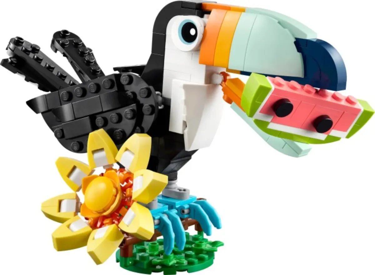 Wild Animals: Tropical Toucan set photo