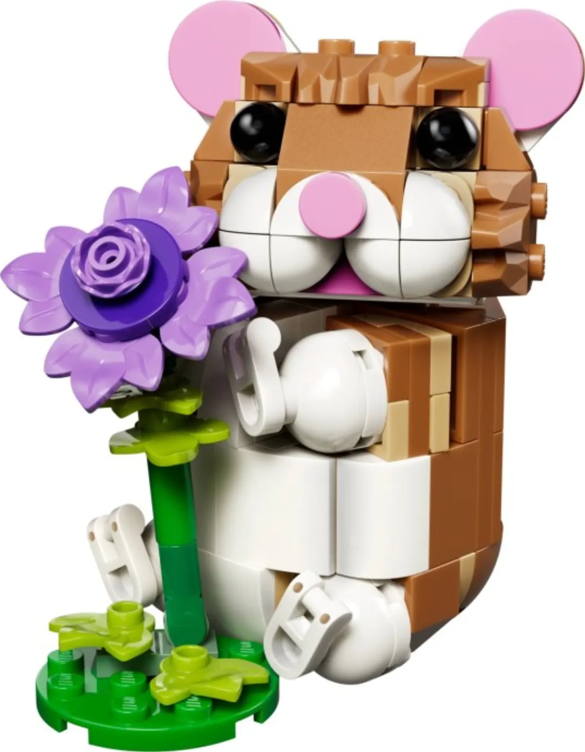 Cute Hamster with a Flower set photo