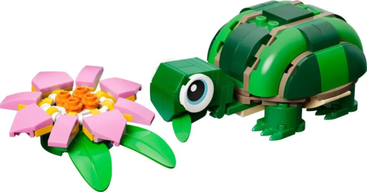 Turtle with a Water Lily Flower set photo