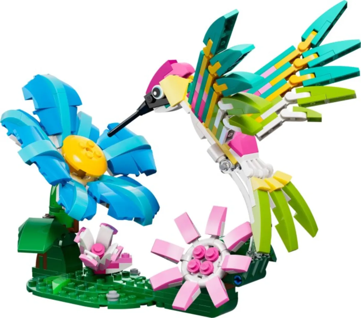Wild Animals: Colorful Hummingbird set photo