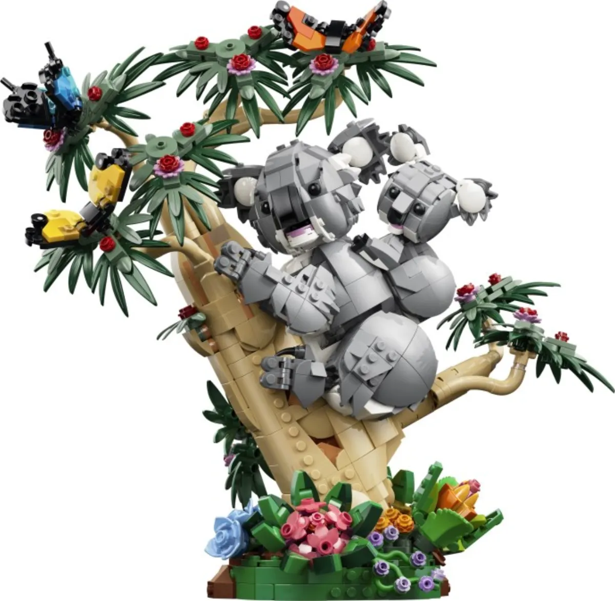 Wild Animals: Family of Koalas set photo