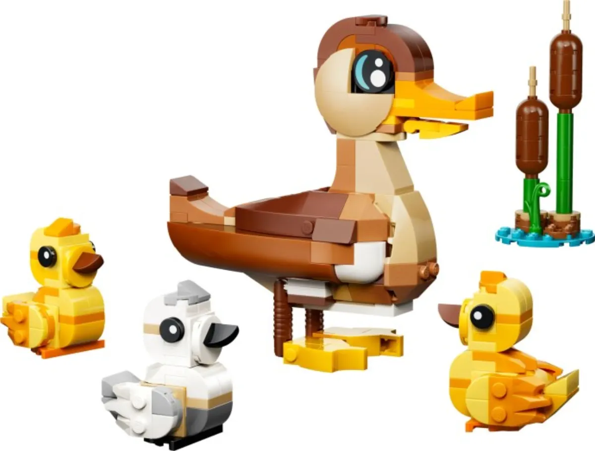 Duck Family set photo