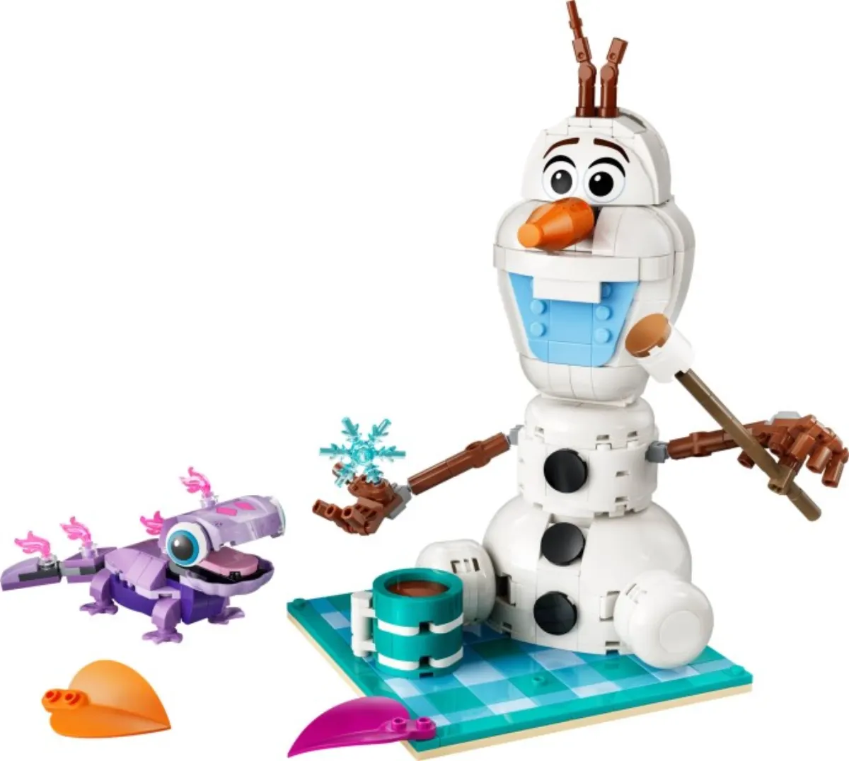 Olaf and Bruni’s Picnic Fun set photo