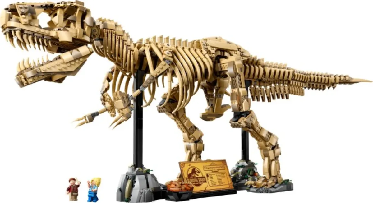 Dinosaur Fossils: Tyrannosaurus Rex set photo